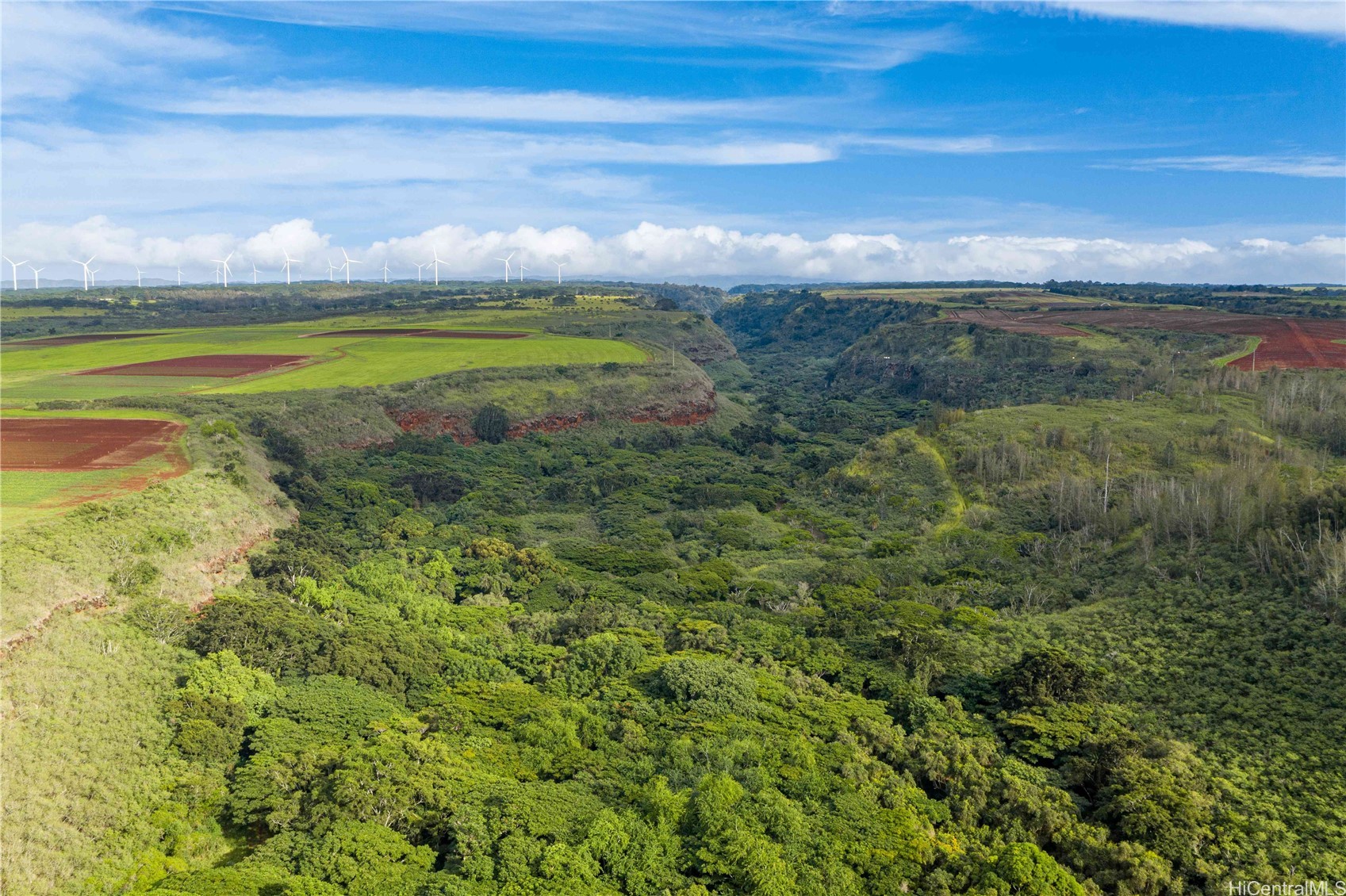 0000 Kamehameha Highway Lot 35