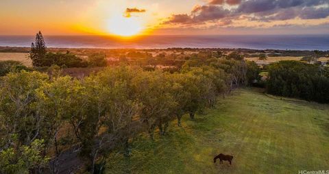 56-2864 Akoni Pule Highway Hawi HI 96719