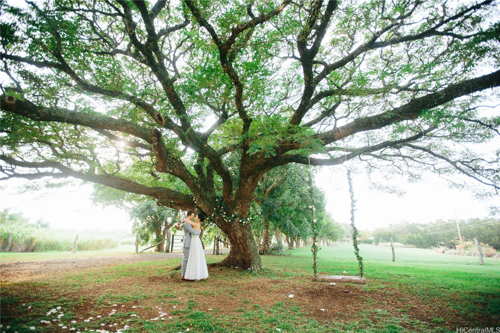 56-2864 Akoni Pule Highway