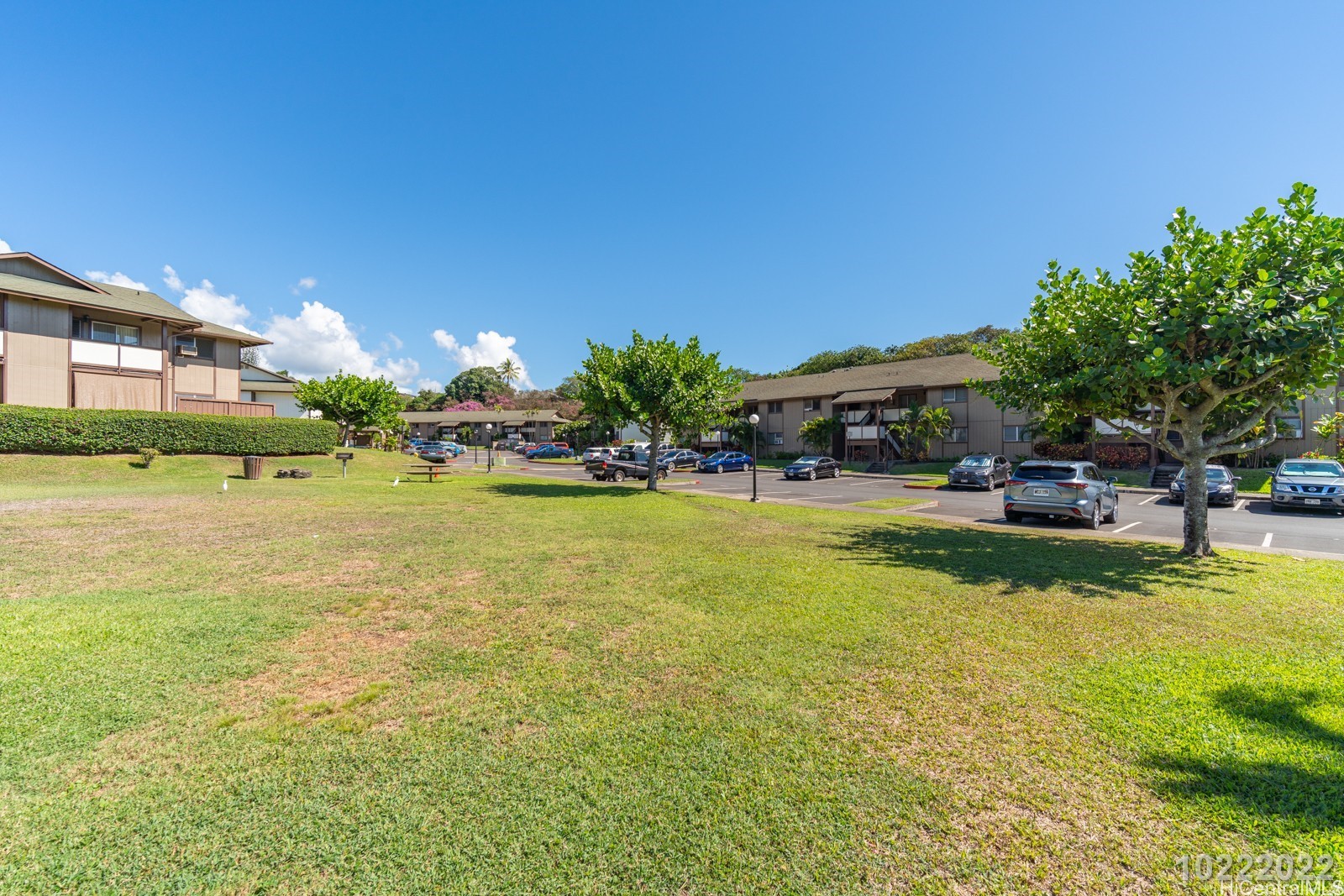 Honolulu Condominium