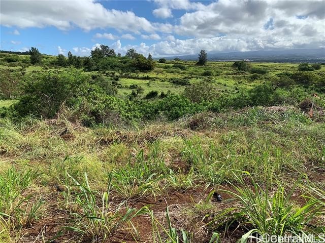 Waipahu Land