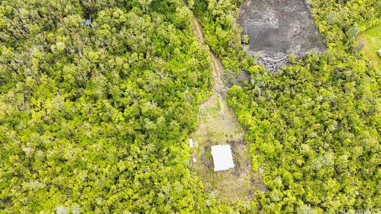 11-1785 Punahele Avenue