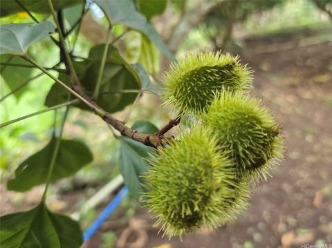 94-1100 Kunia Road 86F Waipahu HI 96797