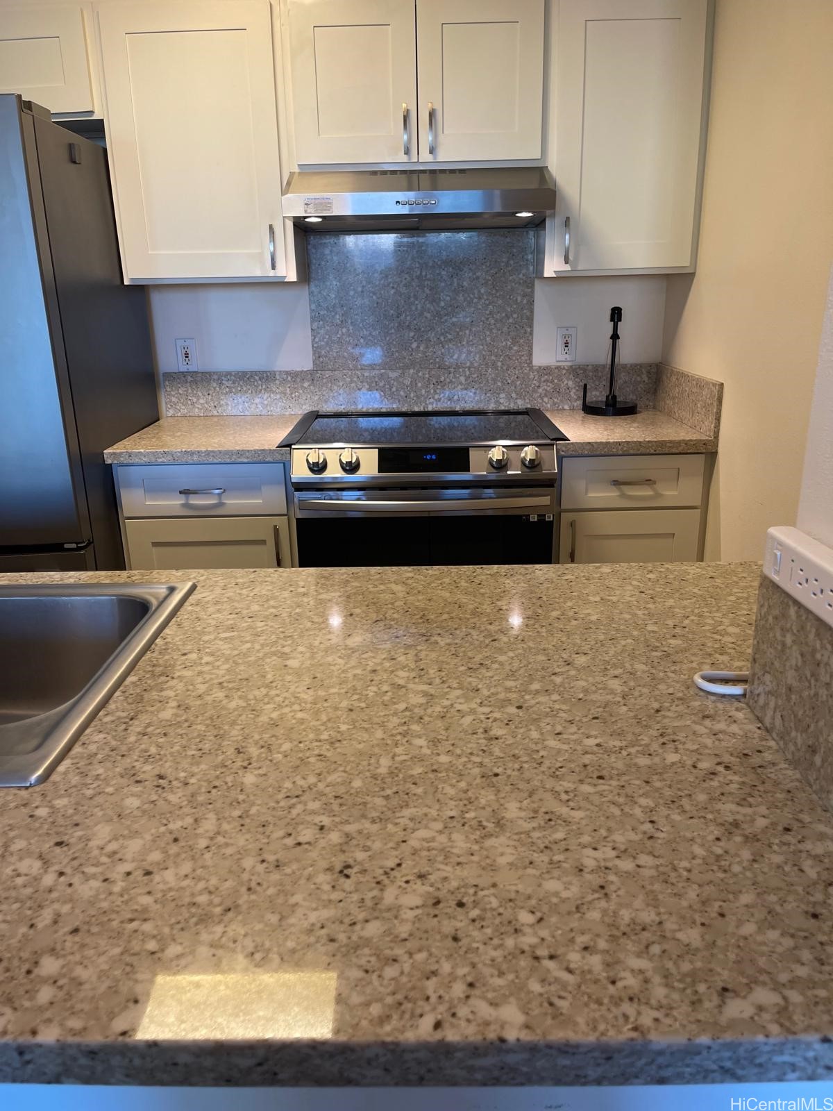 1450 Young Street 302