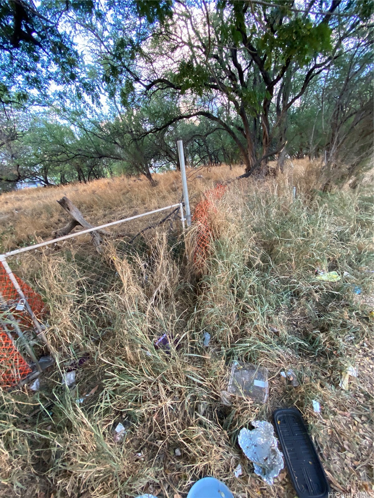 Waianae Land