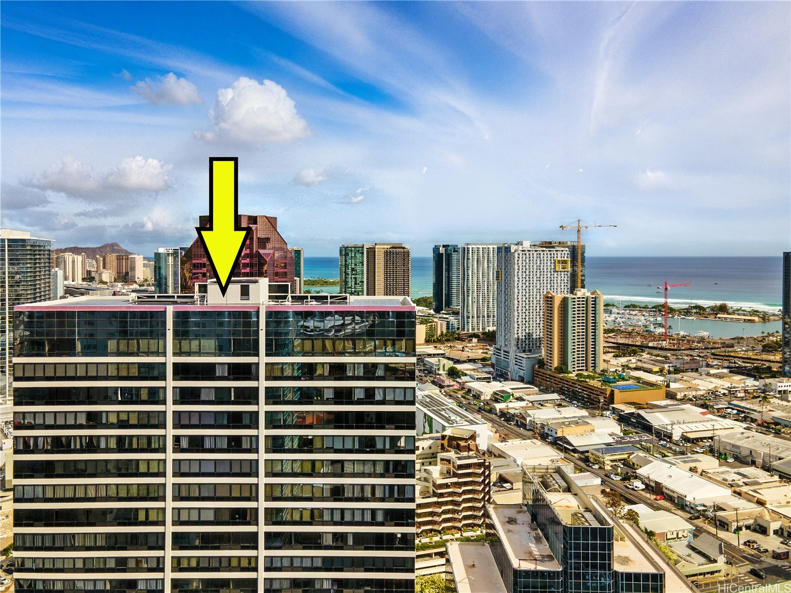 876 Curtis Street 3009