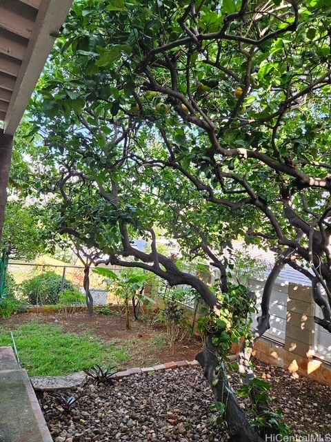 Honolulu Home Residence