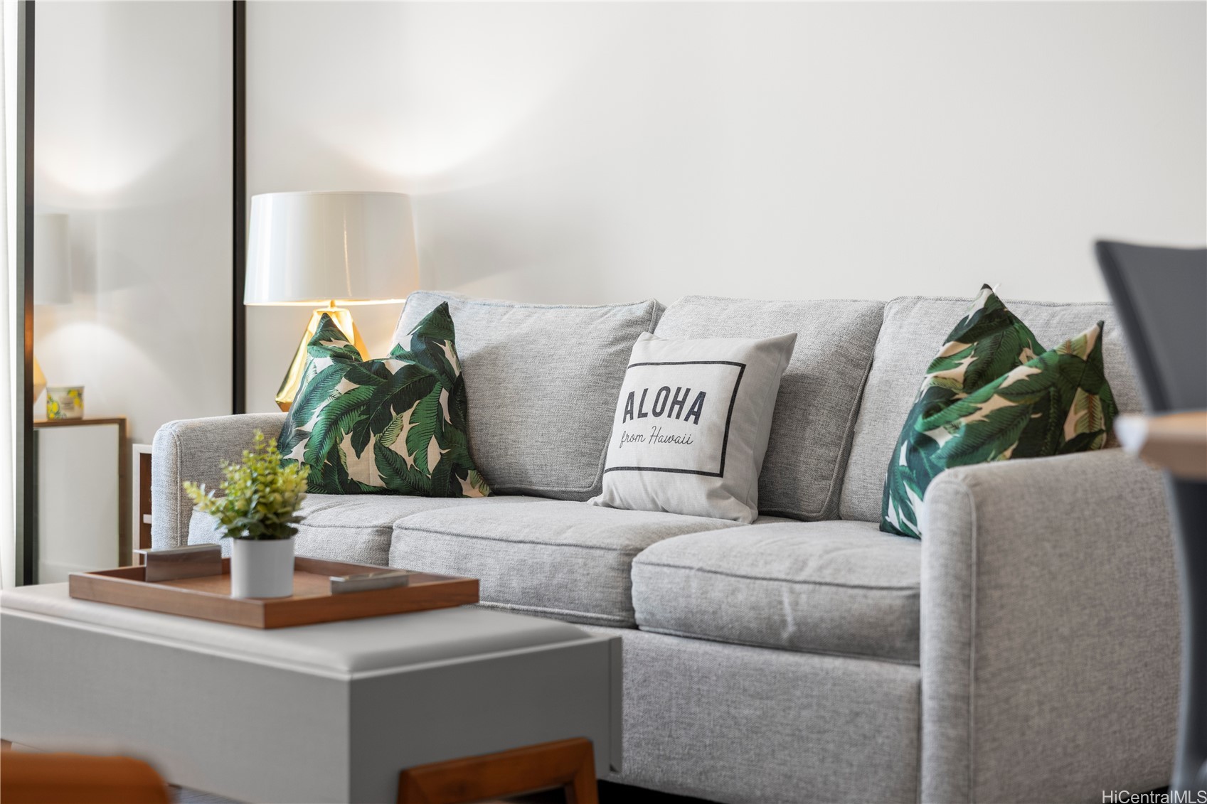 987 Queen Street 4113