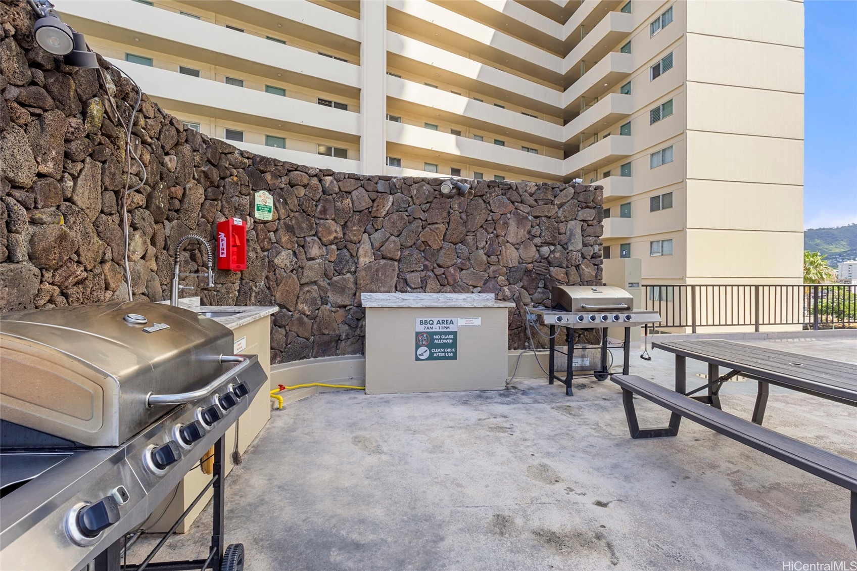 Hawaiian Monarch Condominium