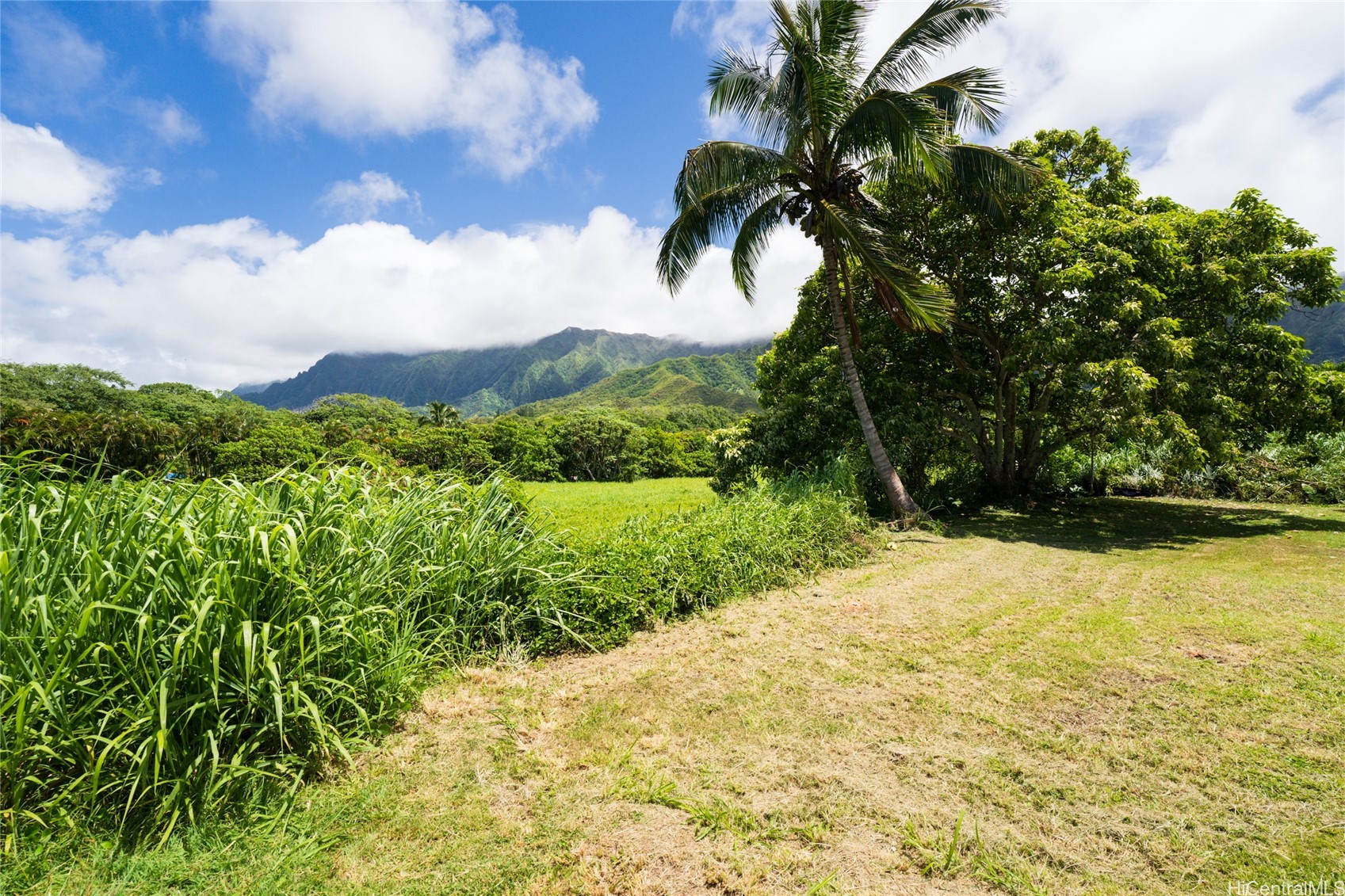 Kaneohe Land