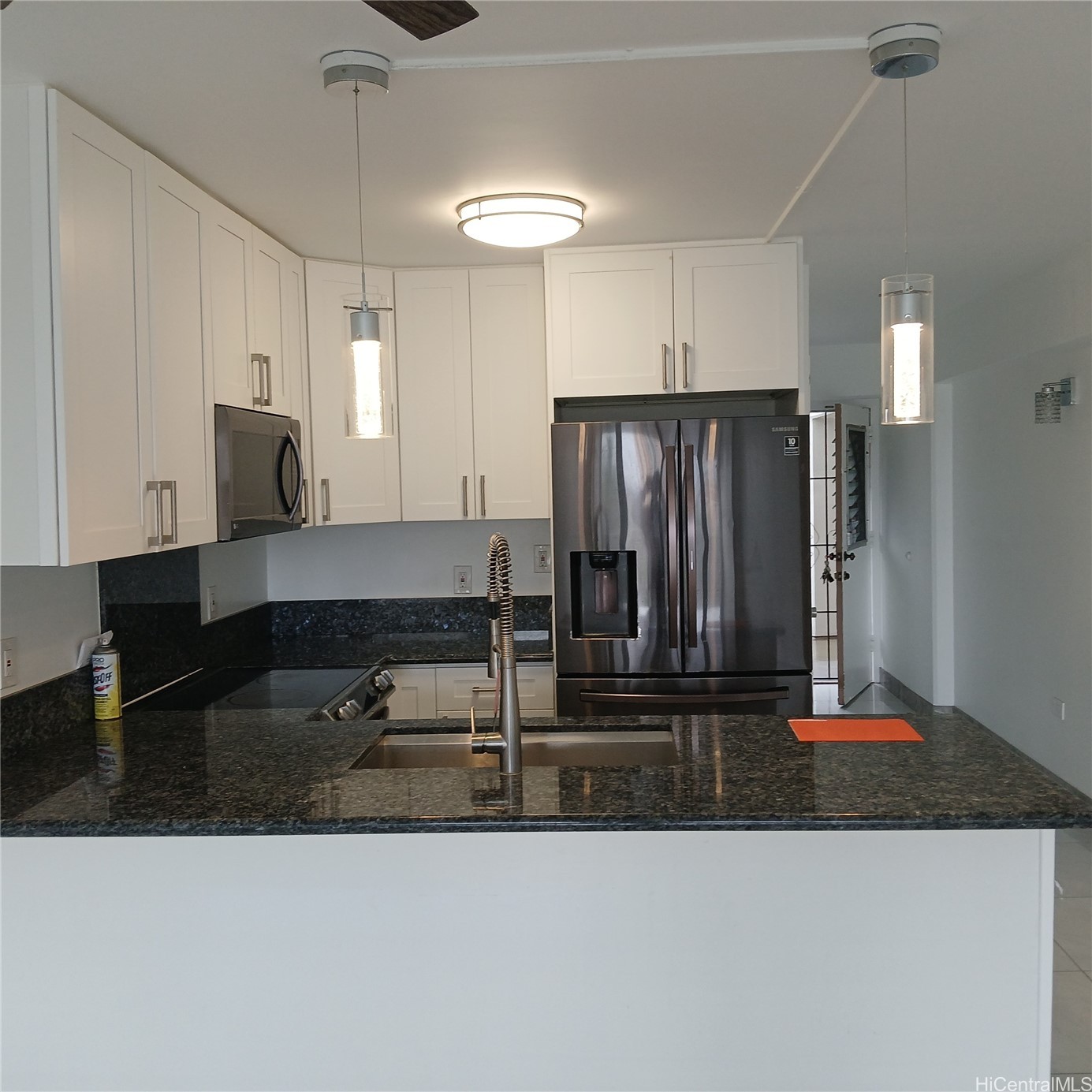 1619 Kamamalu Street 110