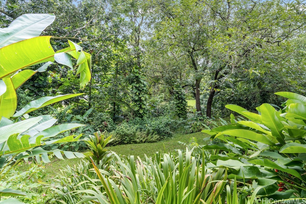 3242 Pelekane Drive