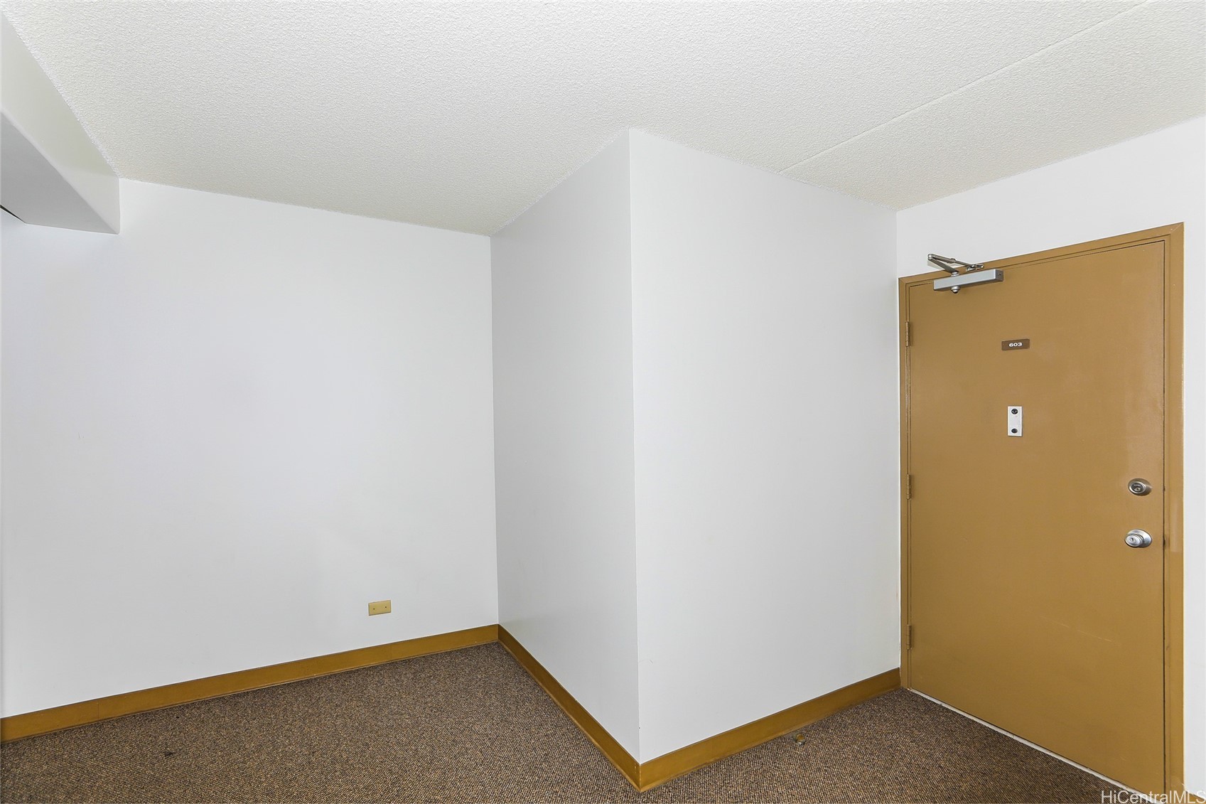 1624 Dole Street 603