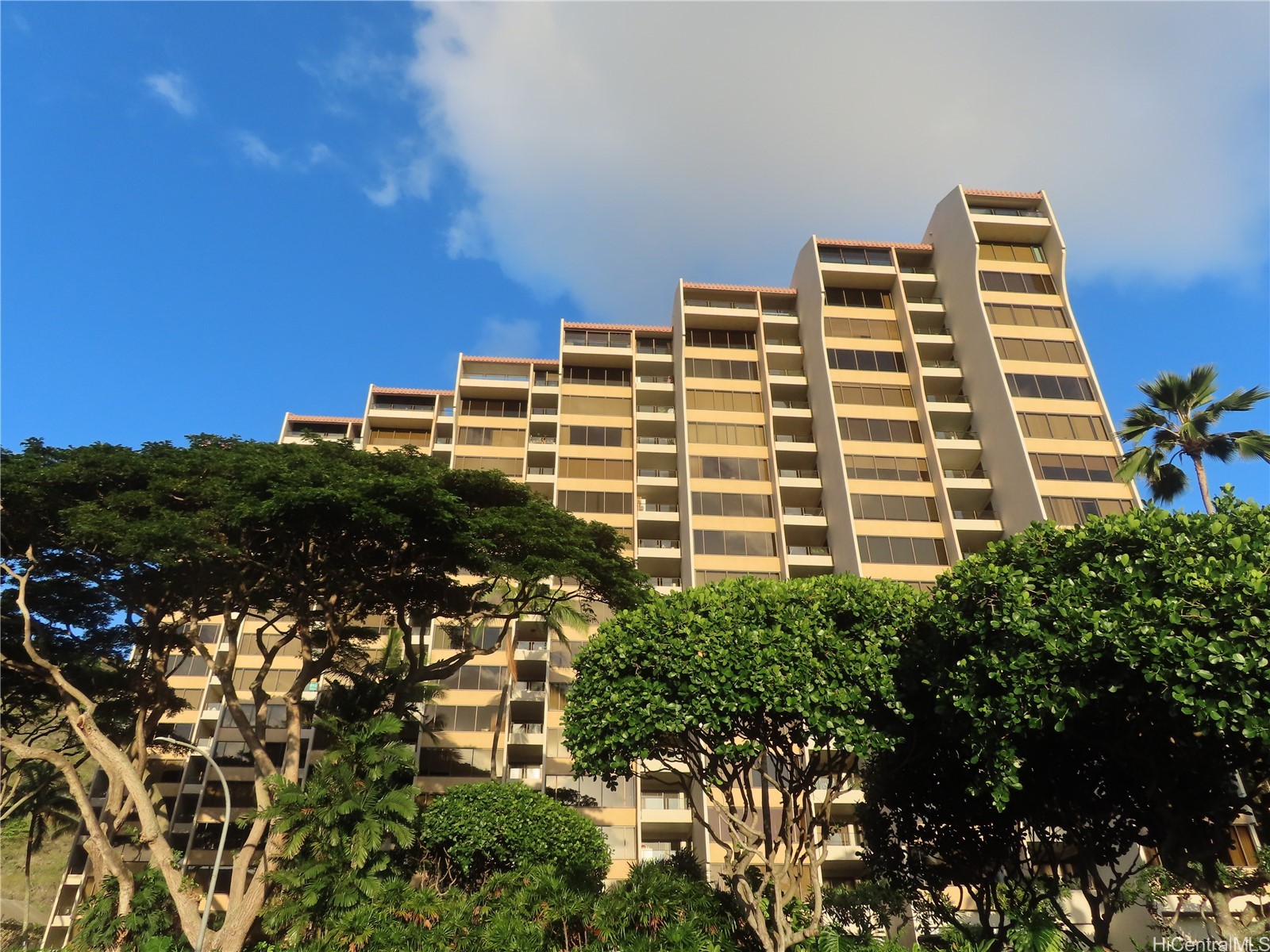 555 Hahaione Street 12D