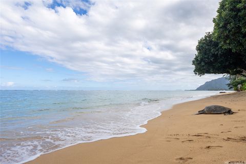 Photo of 53-549 Kamehameha Highway #209, Hauula, HI 96717 (MLS # 202525278)