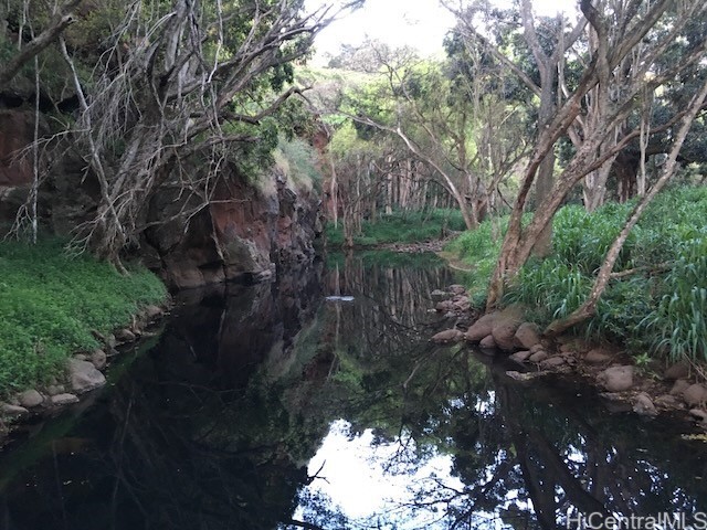 0000 Kamehameha Highway Lot 38