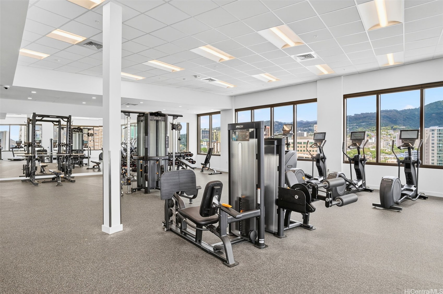 1515 Liona Street 4116