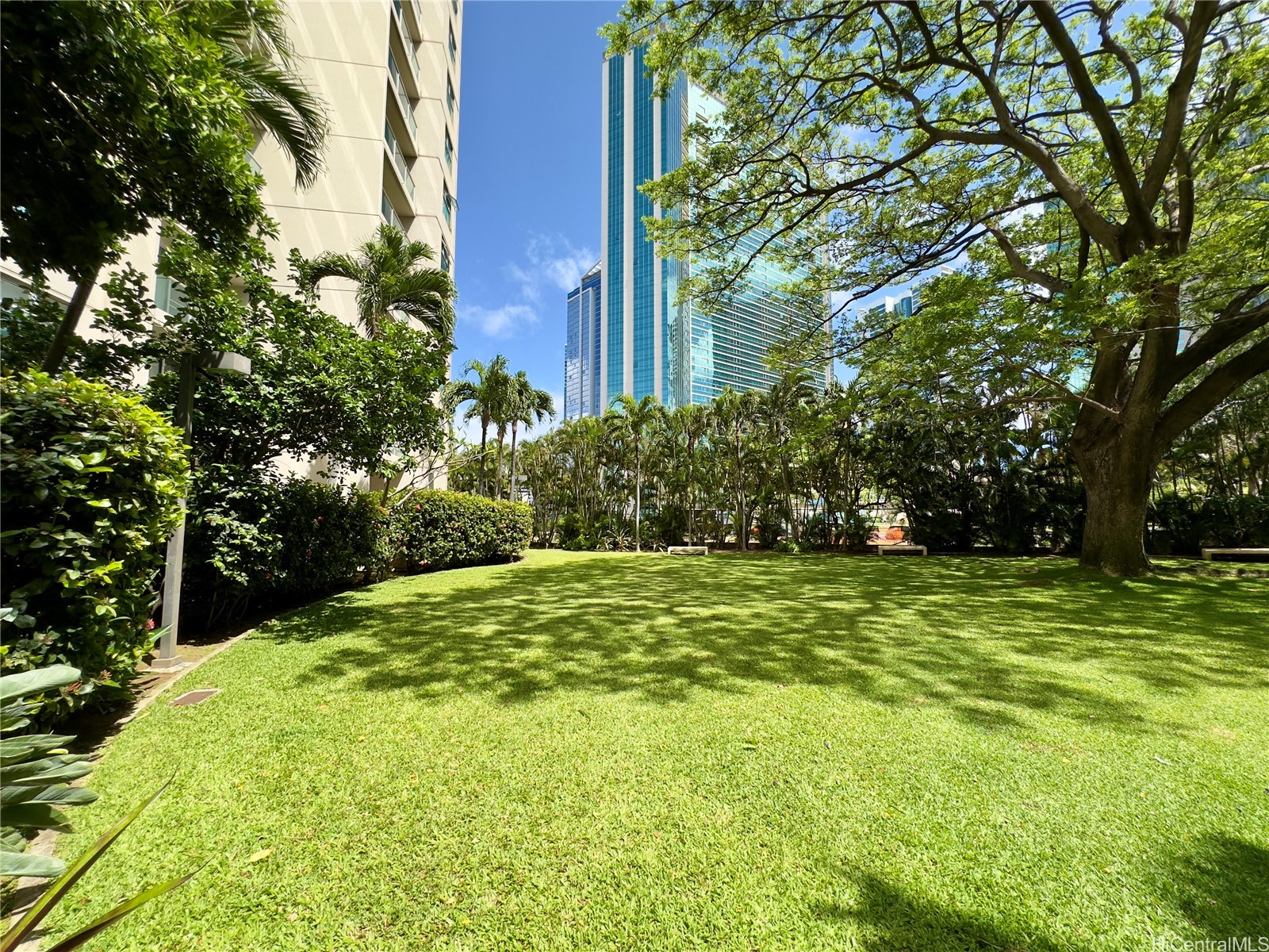 1133 Waimanu Condominium