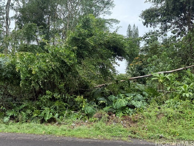 15-716 S Puni Mauka Loop