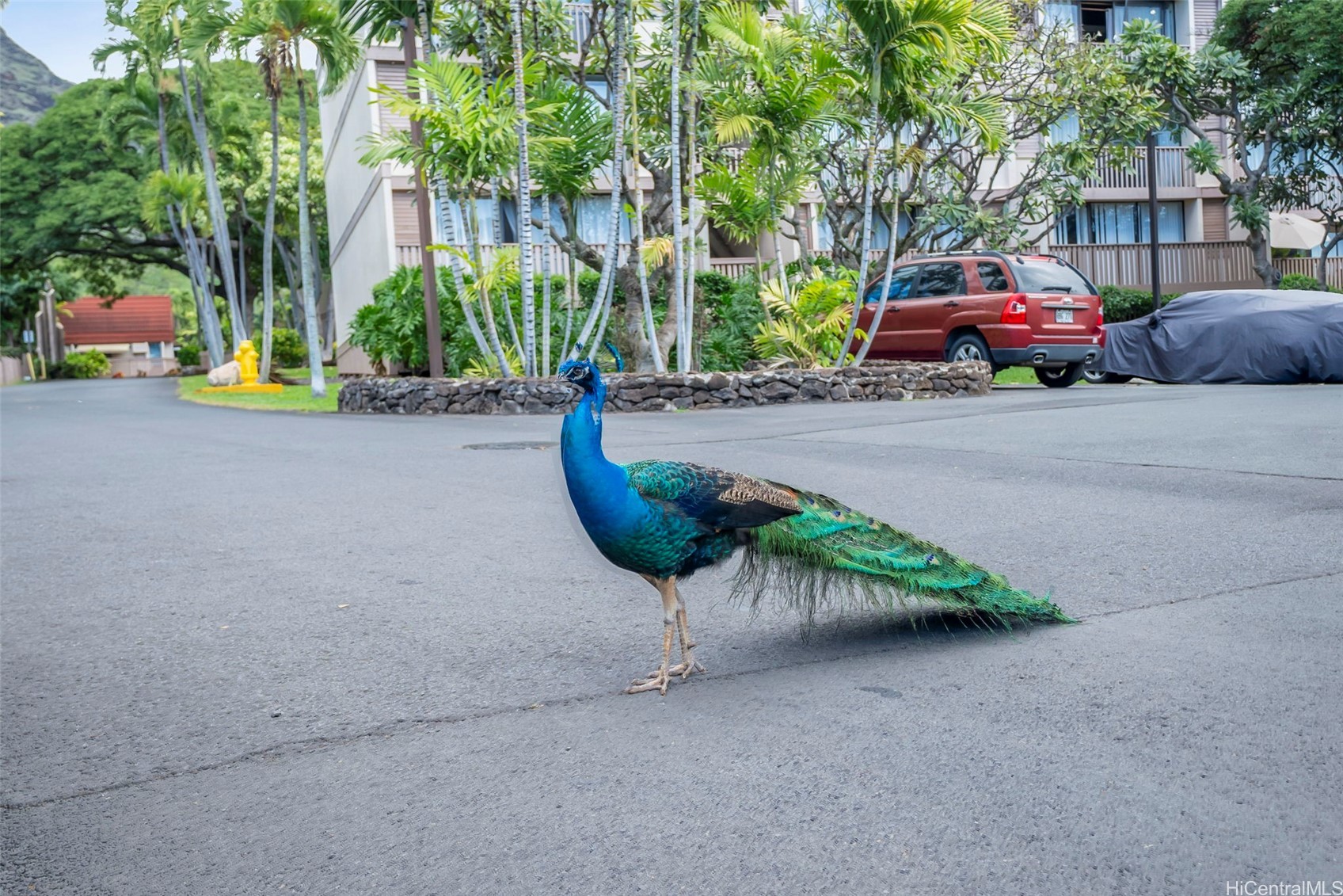 Makaha Valley Pltn Condominium