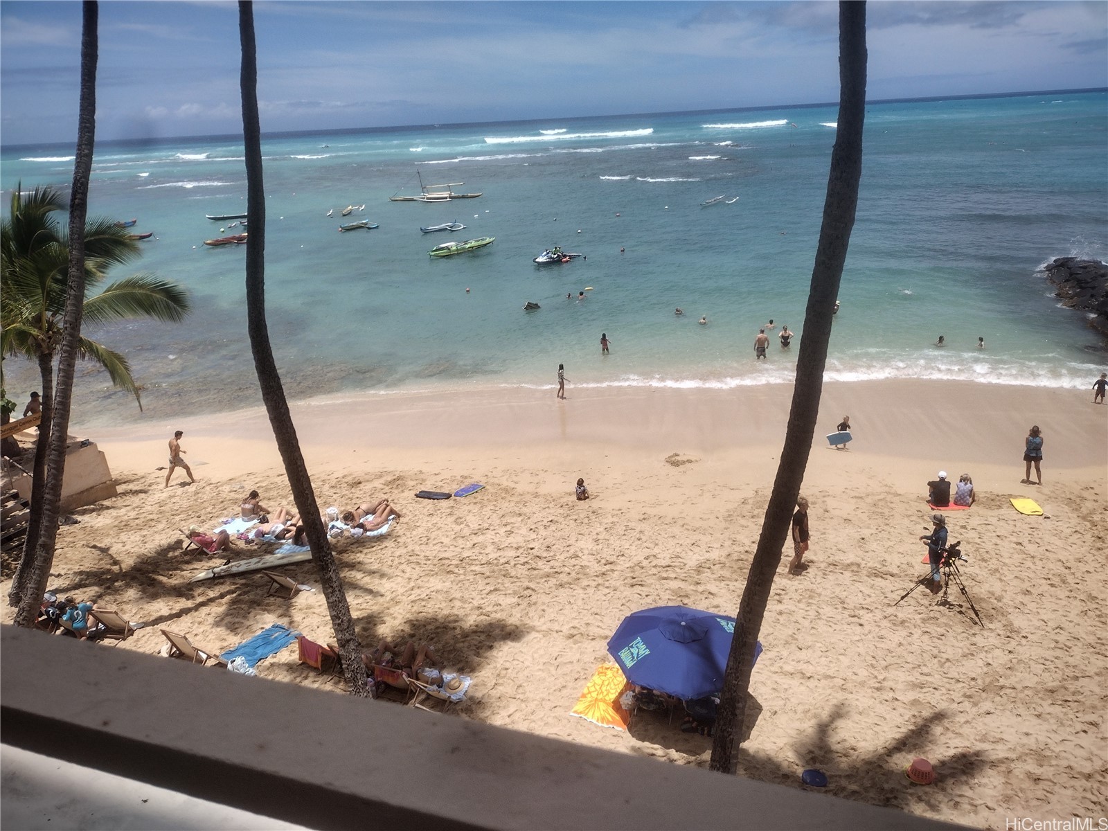 Colony Surf Ltd Residential Lease