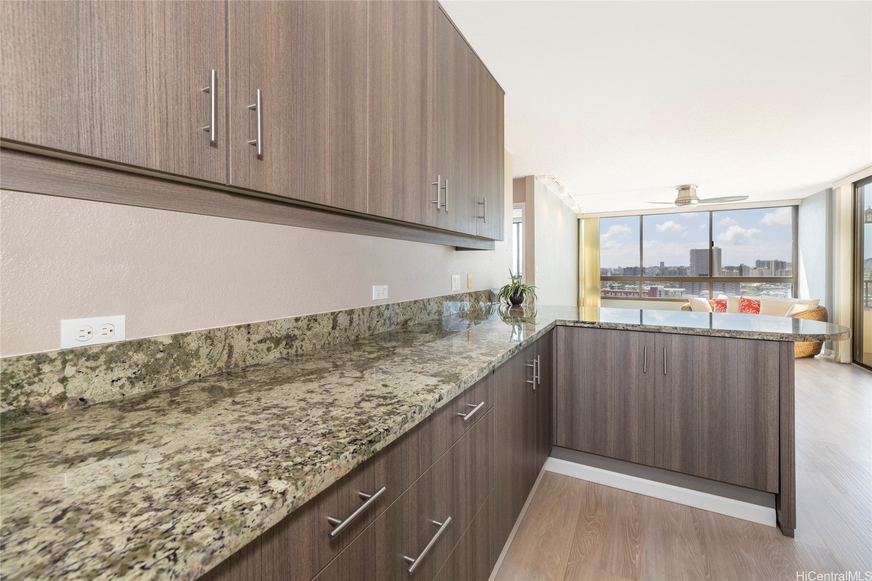 1054 Green Street 808