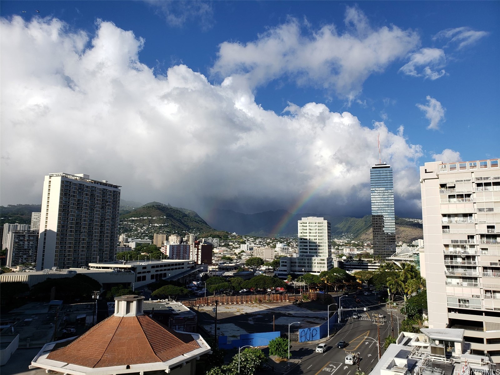 419 Atkinson Drive 1101