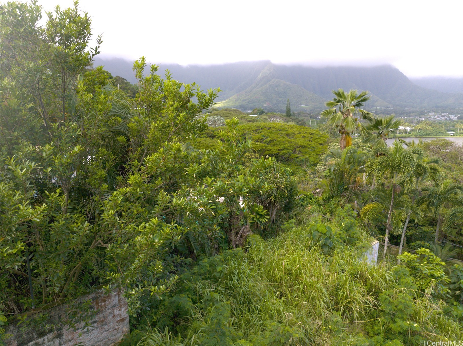 47-440 Kamehameha Highway