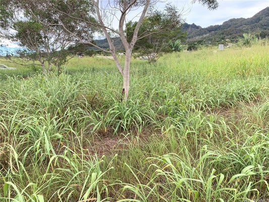 94-1100 FT WEAVER RD, KAPOLEI, HI 96707 - Image d5d73bbd089c83213c9b14350ae8f899/2013102785