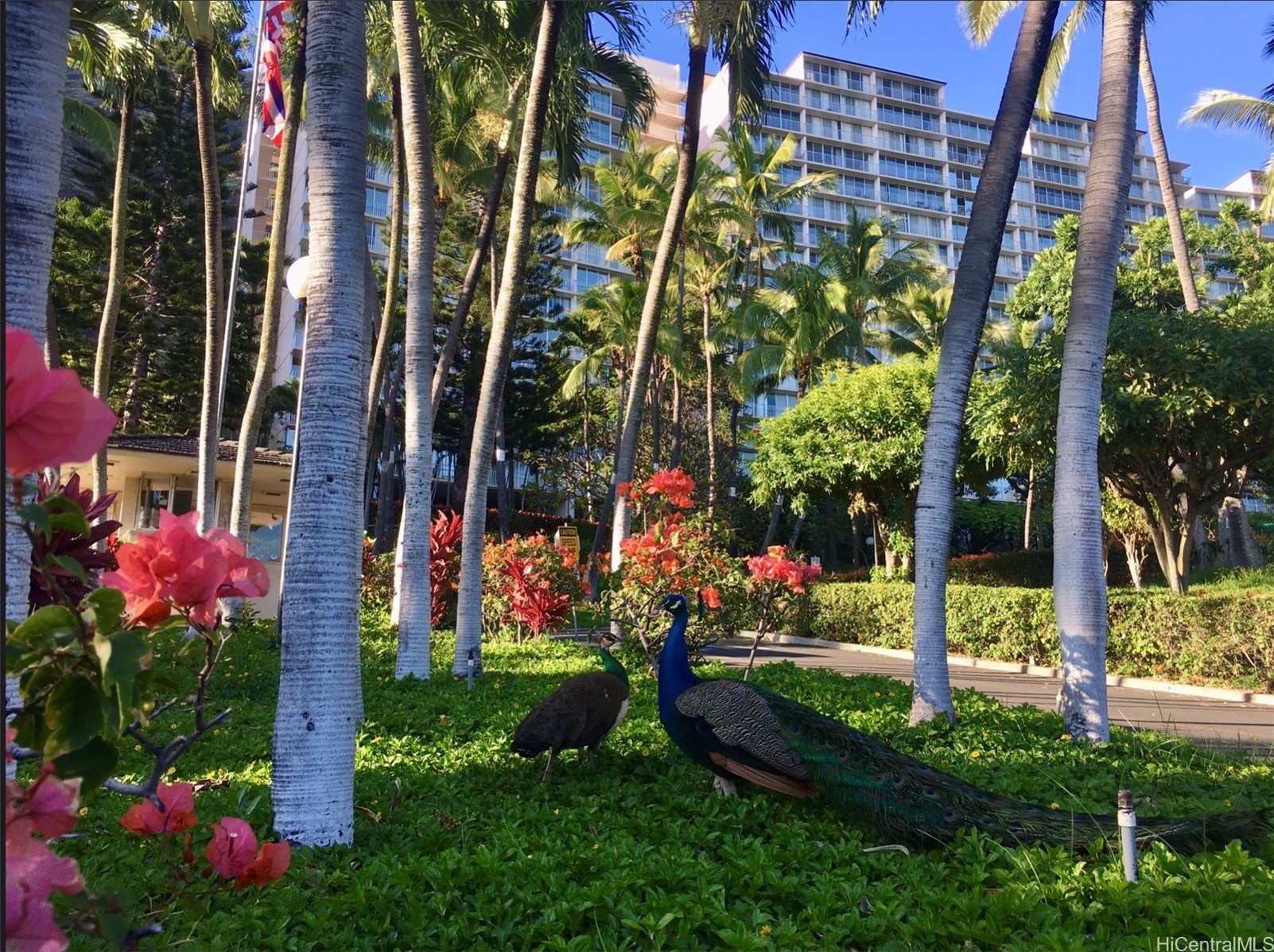 Makaha Valley Towers Condominium