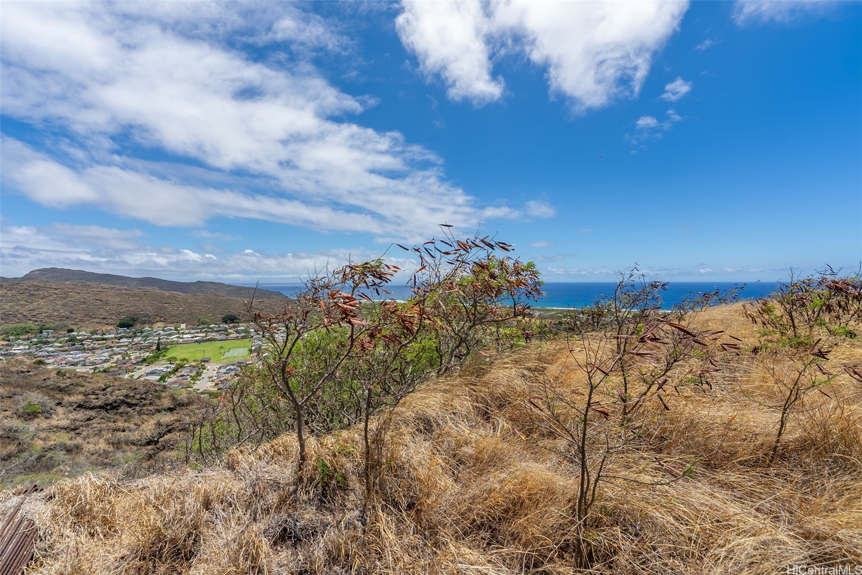 Honolulu Land
