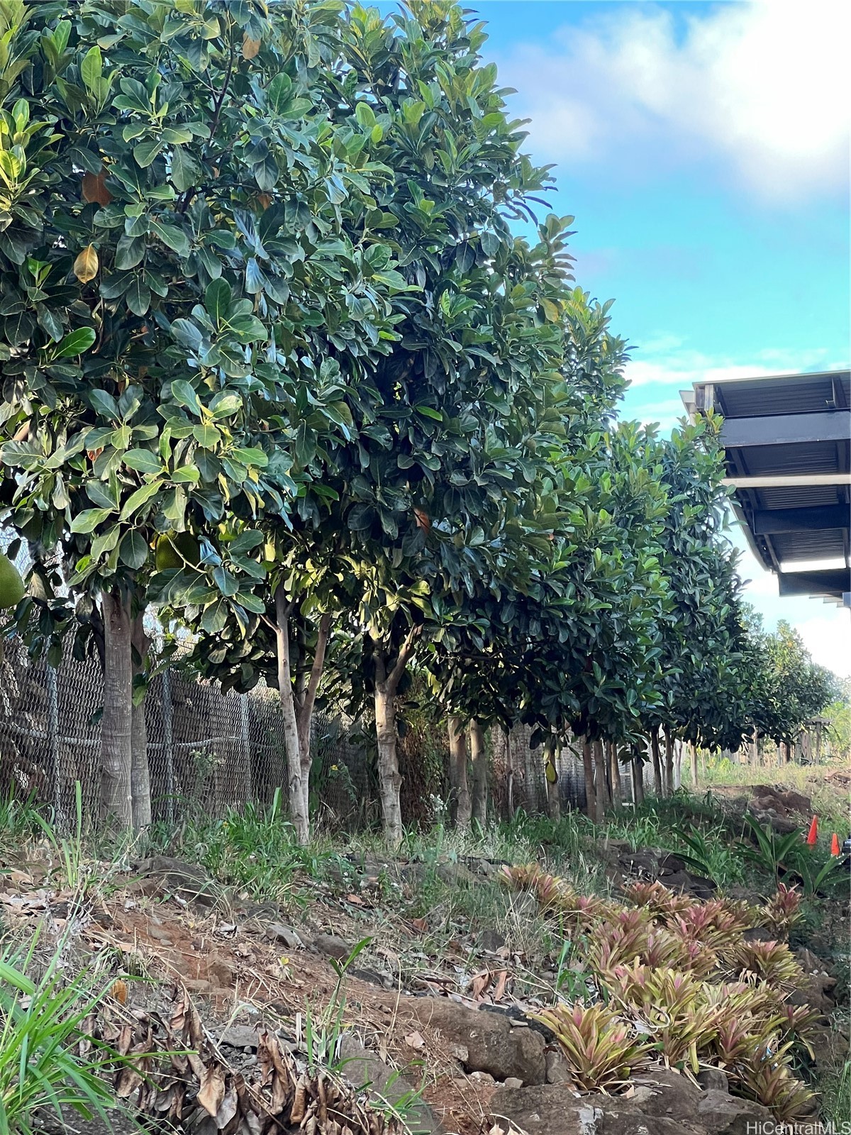 94-1100 Kunia Road 0045