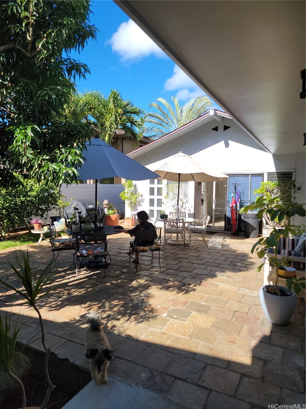 Honolulu Residential Lease
