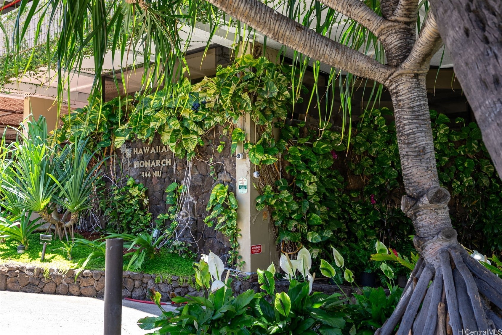 444 Niu Street 2908