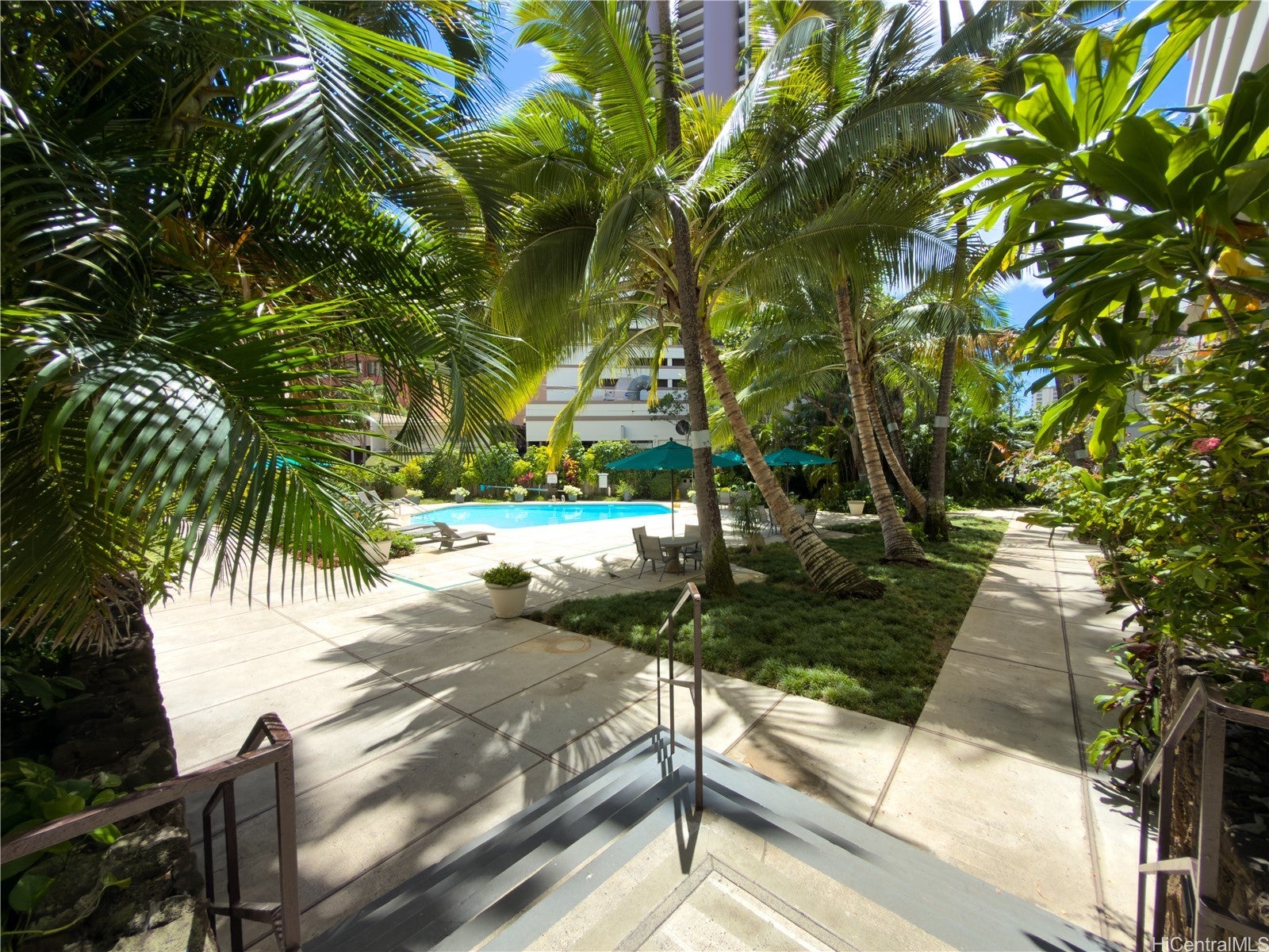 425 Ena Road 805C
