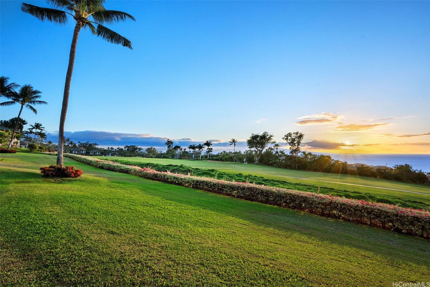 3950 Kalai Waa Street E102