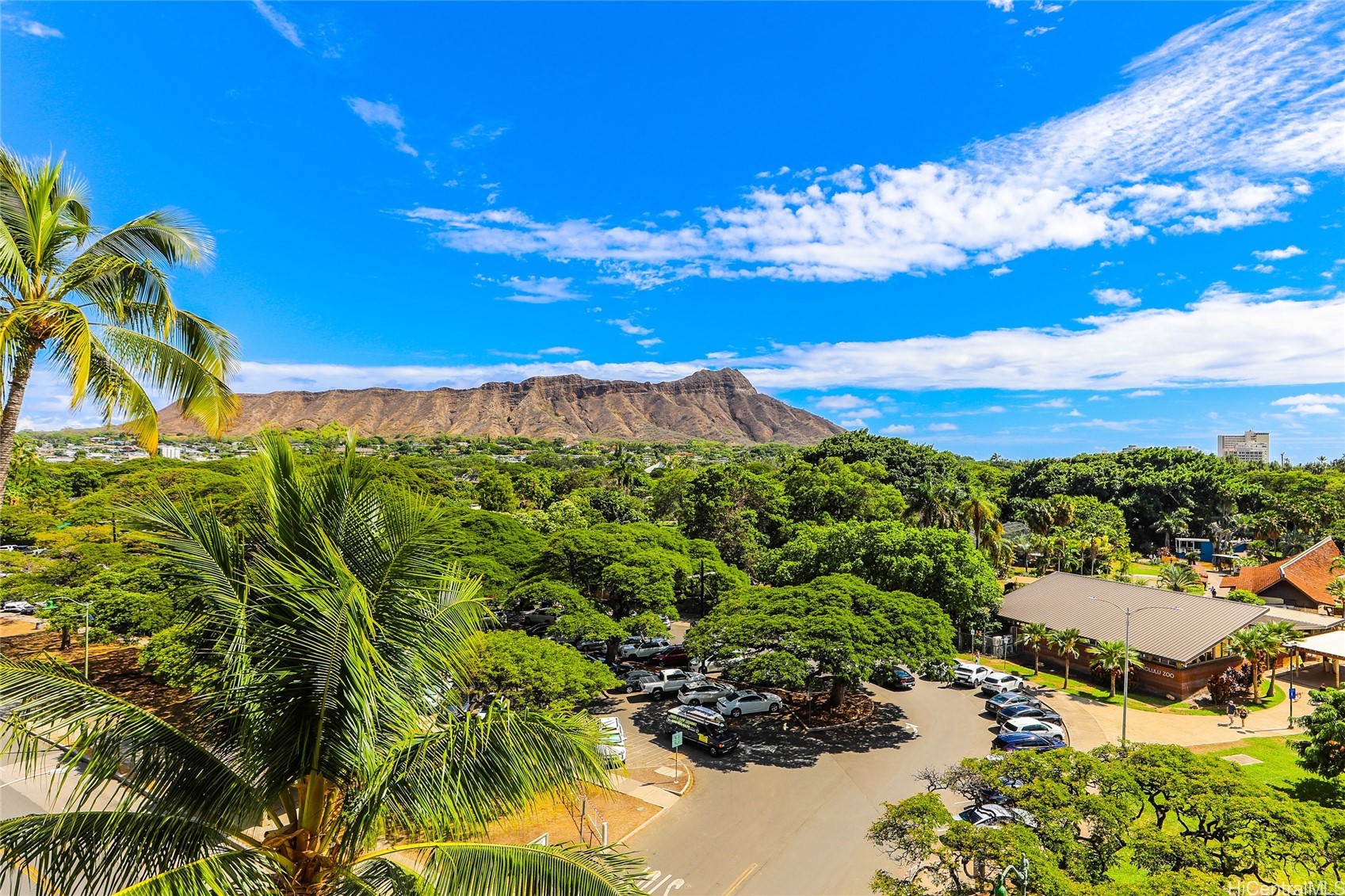 134 Kapahulu Avenue 716