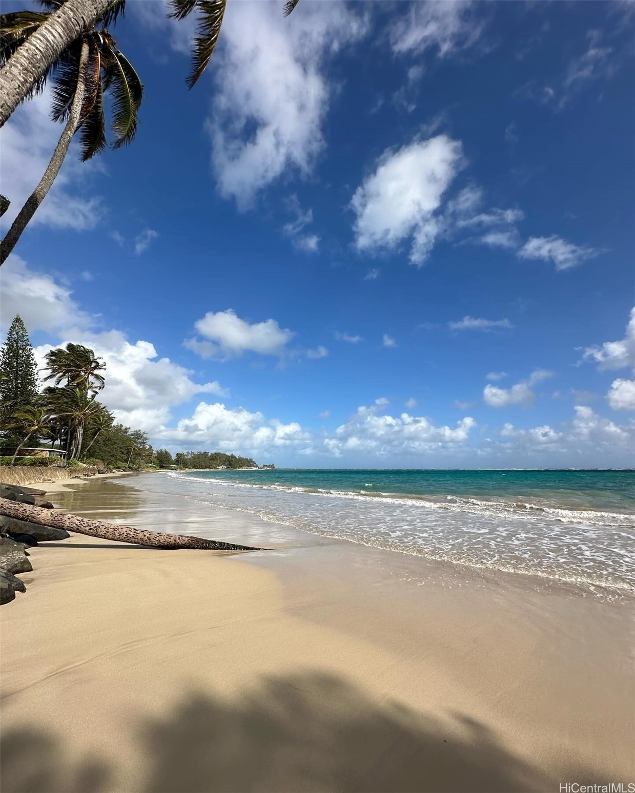 53-549 Kamehameha Highway 514