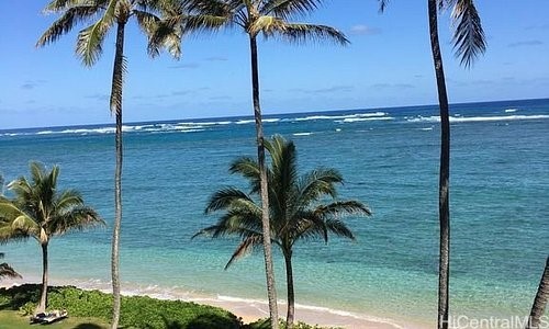 53-549 Kamehameha Highway 514