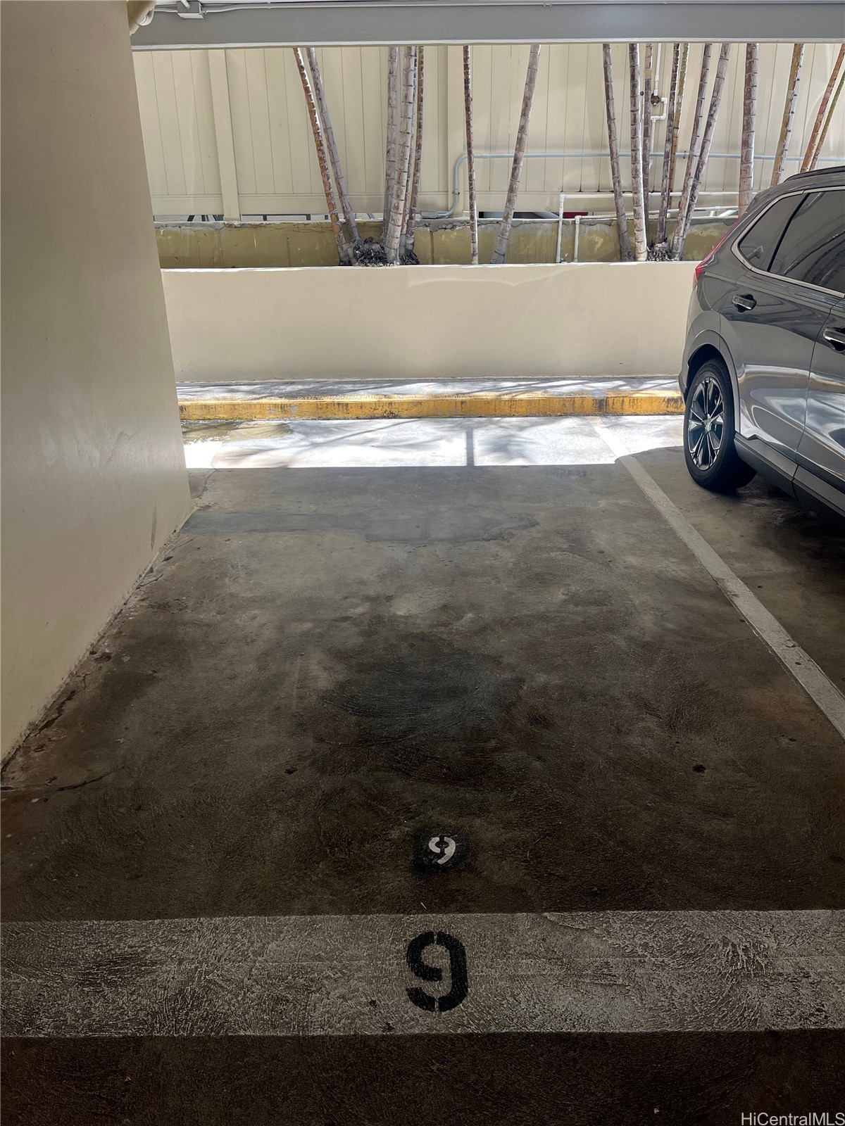 Kailani Residential Lease