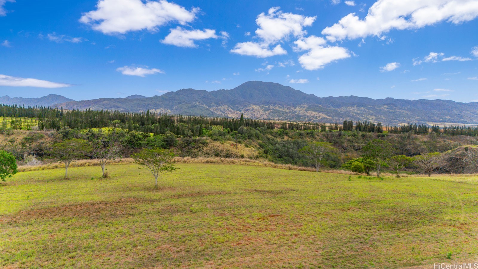 64-486 Kamehameha Highway 34F