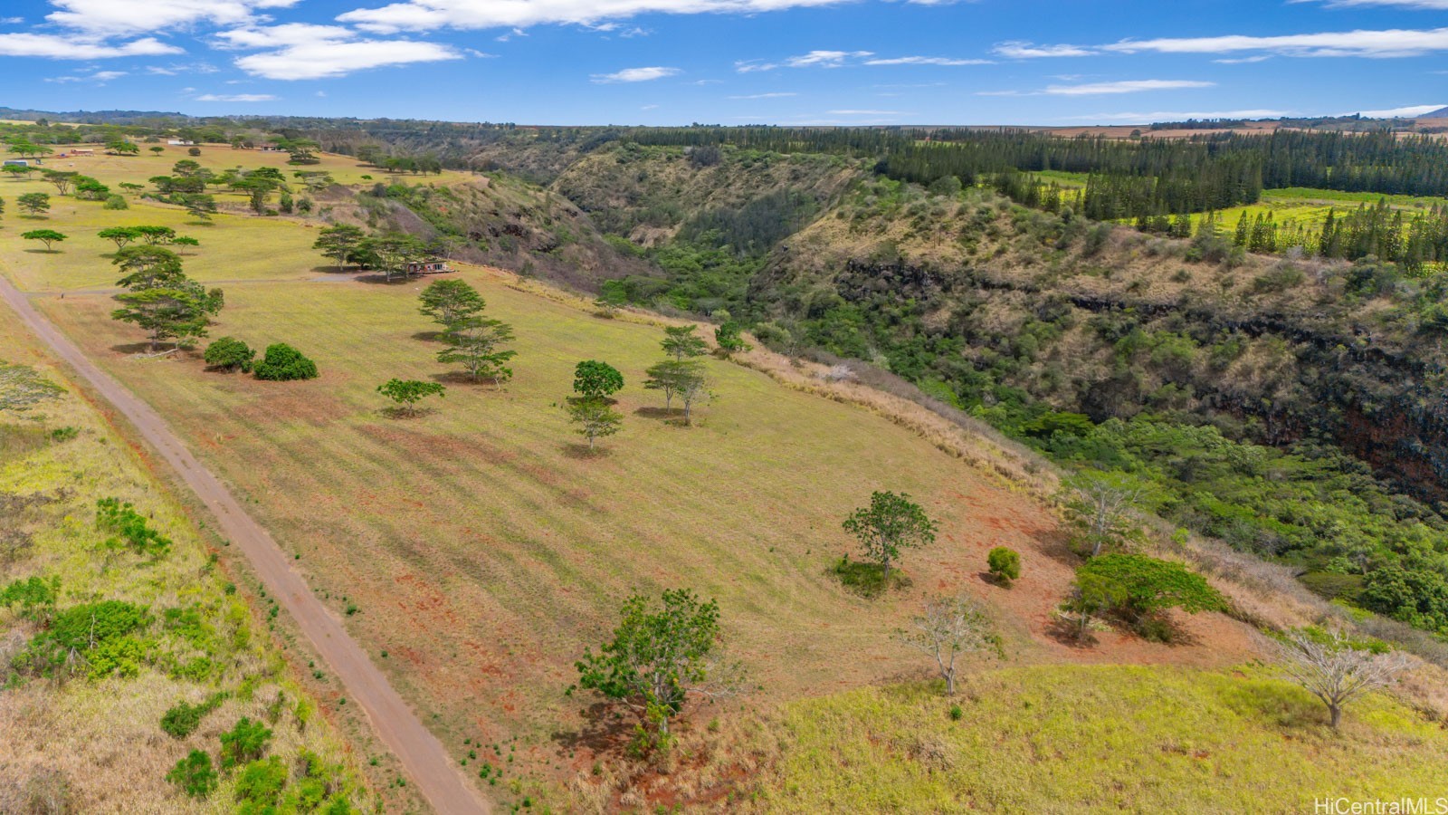 64-486 Kamehameha Highway 34F