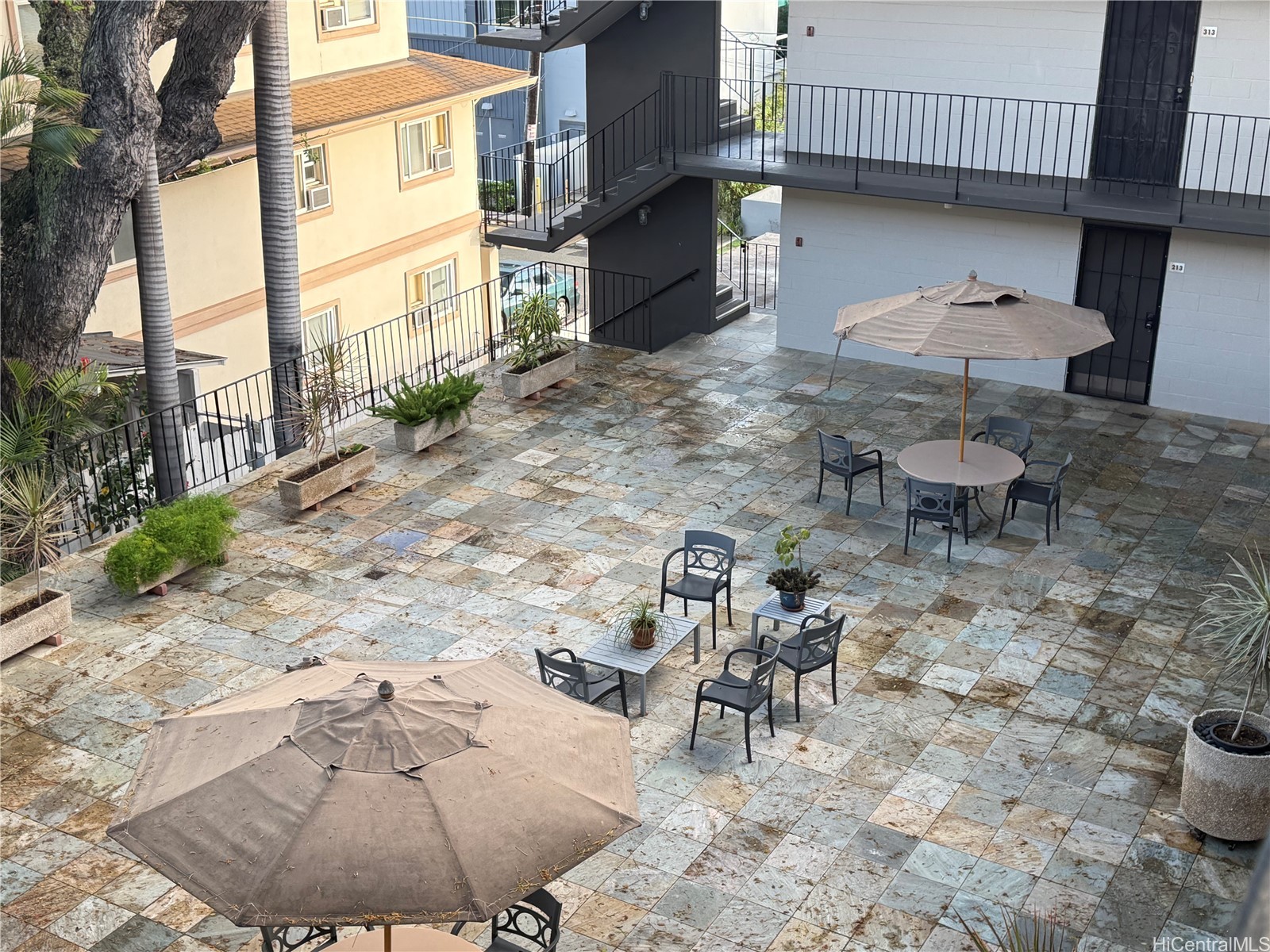 1914 University Avenue 305