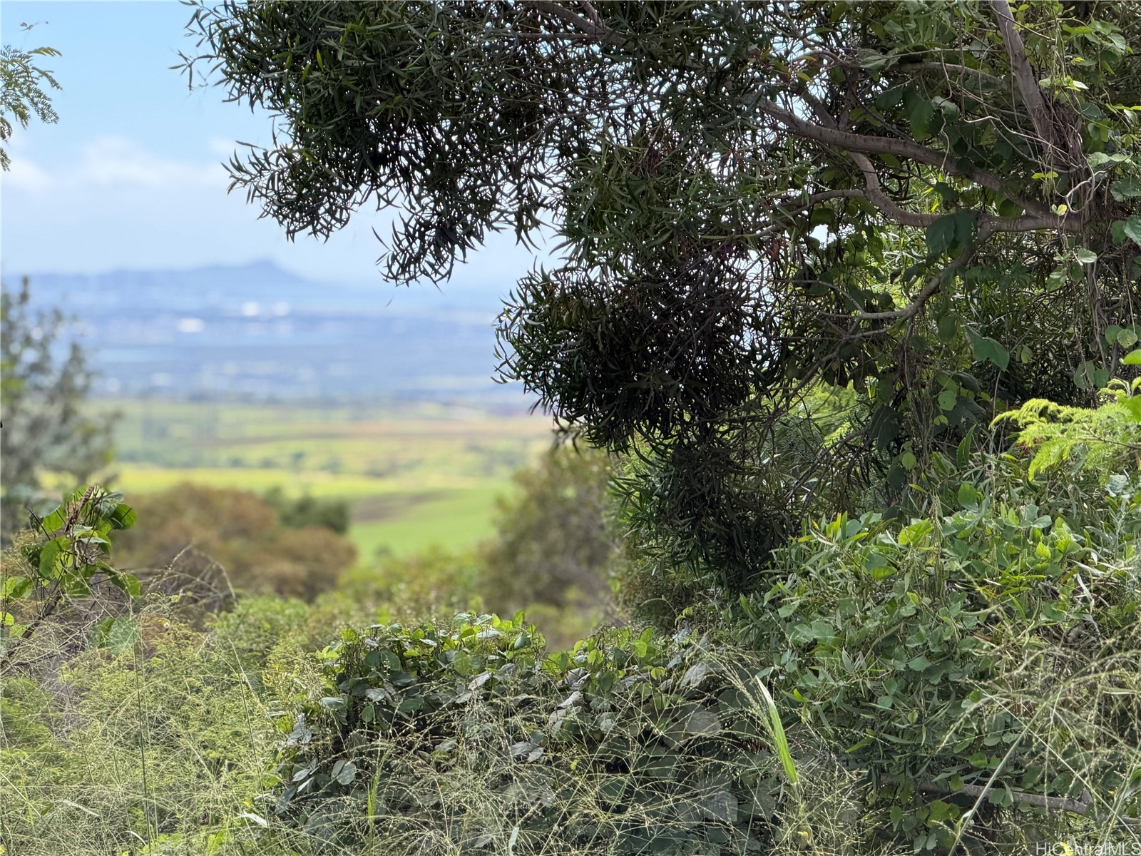 94-1100 Kunia Road 9 C-5