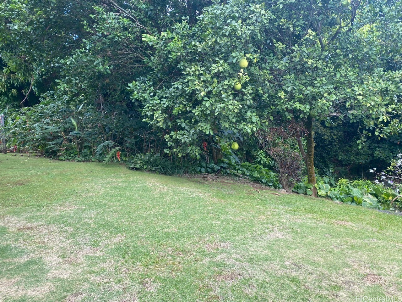 Honolulu Home Residence
