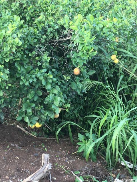 94-1100 KUNIA Road 56-I Waipahu HI 96797