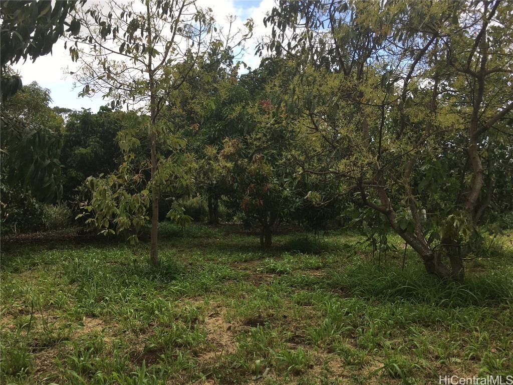 94-1100 KUNIA Road 56-I