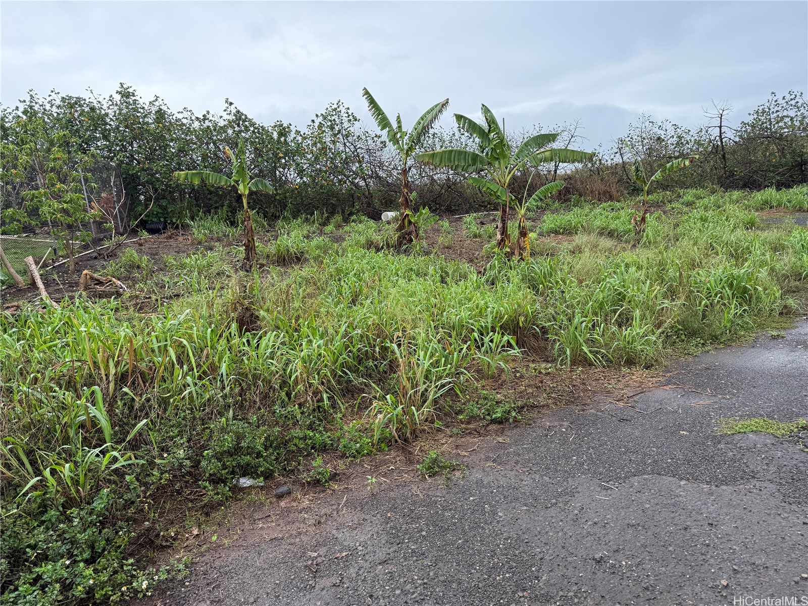 94-1100 Kunia Road #66