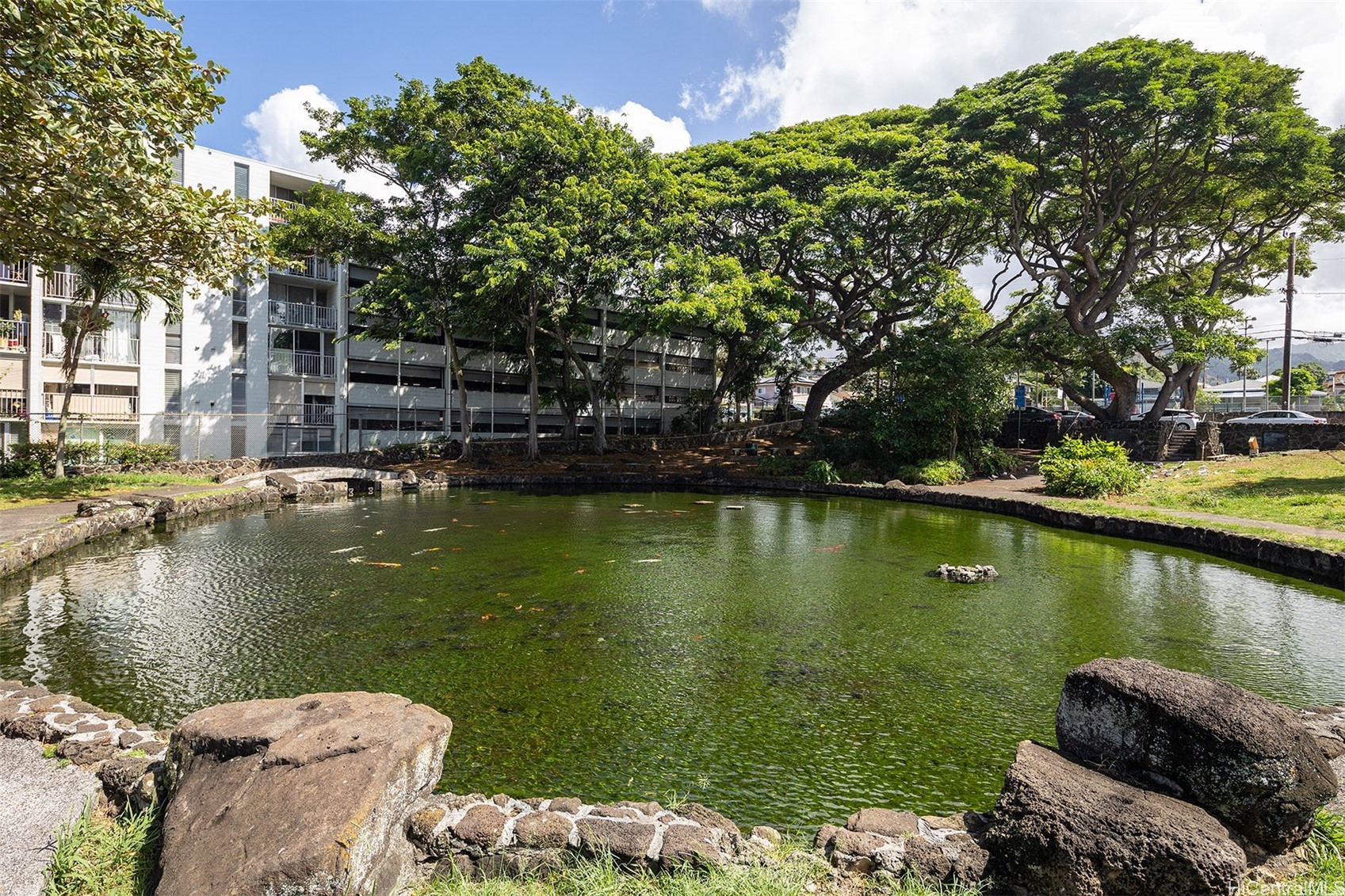Honolulu Multi Family