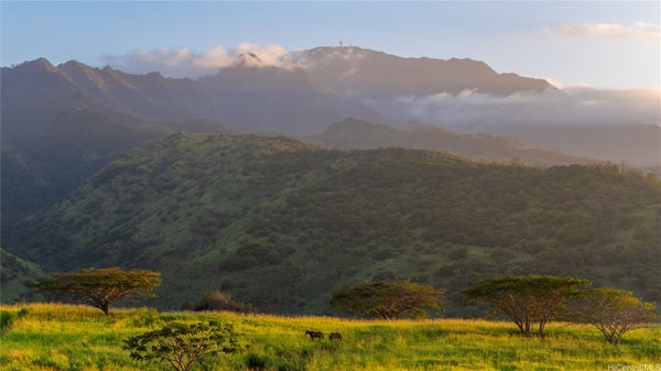 65-2 KAUKONAHUA RD, WAIALUA, HI 96791 - Image f9bab2b66cccacdfd9d02403083ae17a/739171912